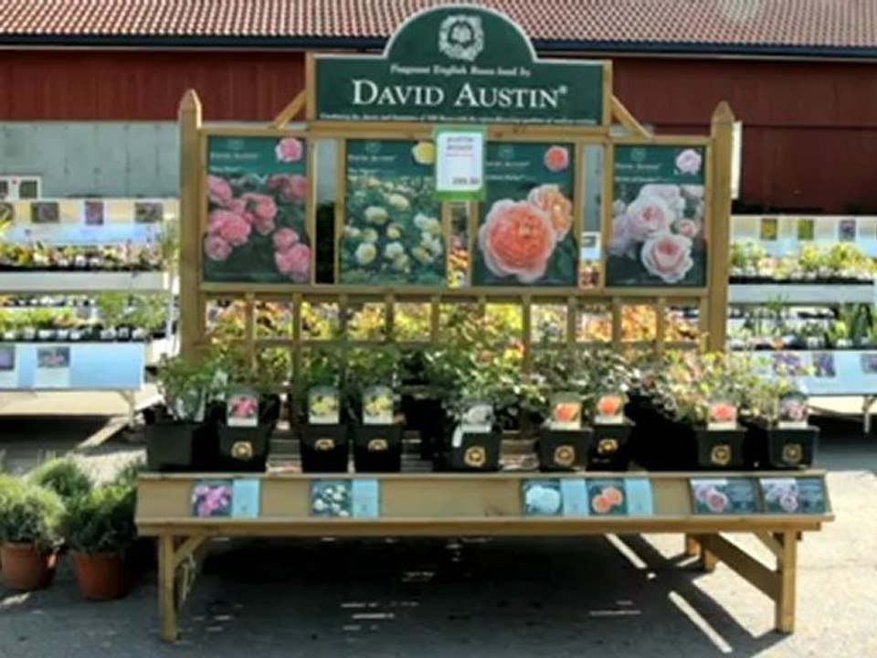 Hagesenter Tønsberg BoGrønt Rom Hagemiljø