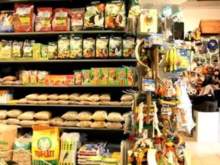 Dyrebutikk Drammen Centrum Zoo