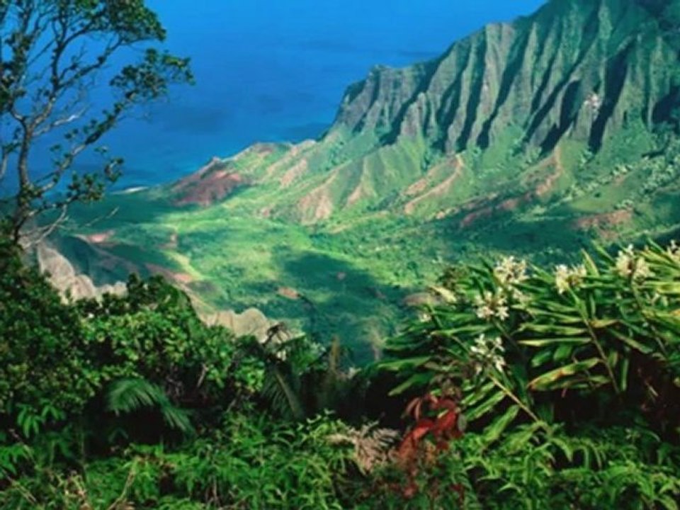 PRIXAD VIDEO 2 BY LEINAD DANIEL RABADAN