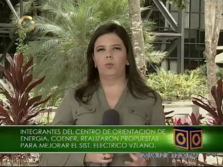 Integrantes de Coener plantean soluciones para el sistema eléctrico