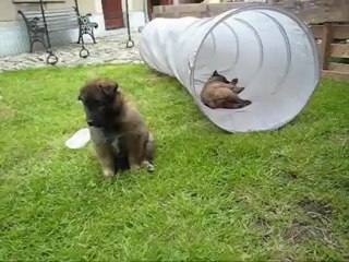 La Ckaliksou Plaine de jeux