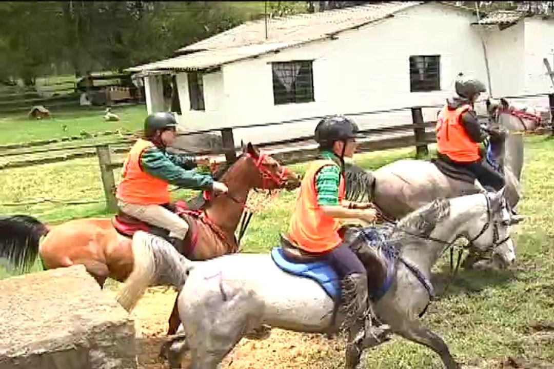 WORK HORSES Junio 20 de 2012