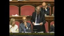 Zanda - Caso Lusi - Colpire le fondamenta della democrazia è un crimine politico (20.06.12)