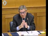Giuseppe Palumbo - Prevenzione e screening in Parlamento sui tumori della pelle (20.06.12)
