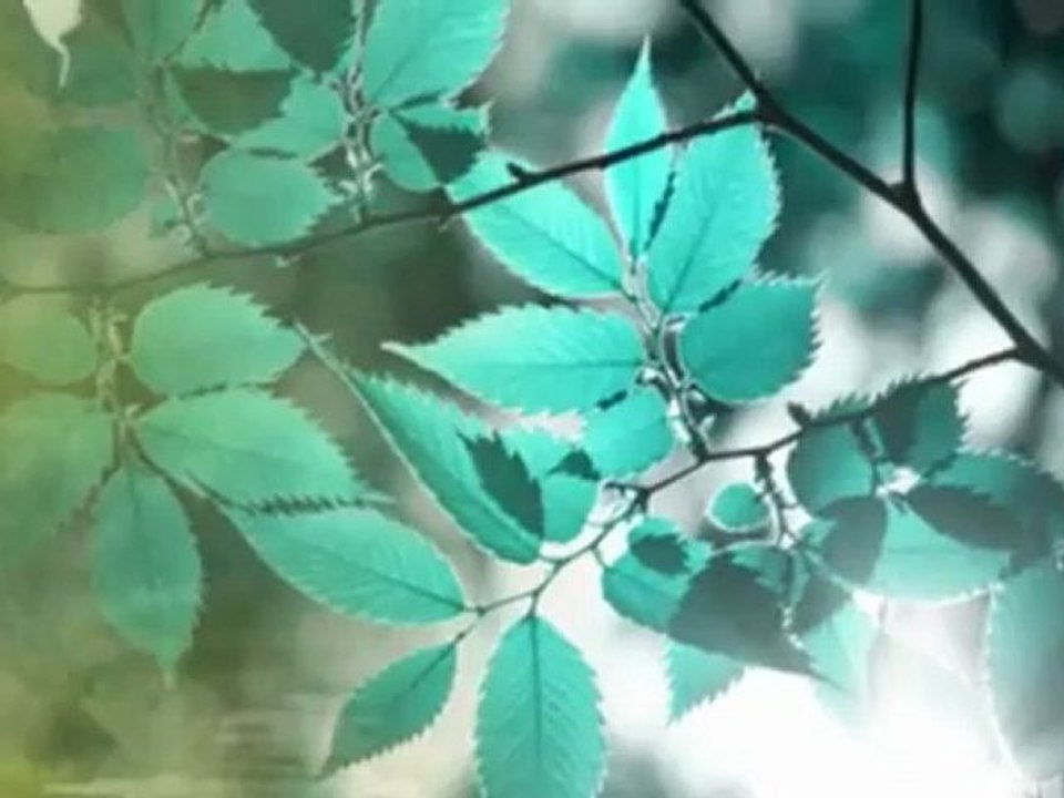 つつがなく　すぎもとまさと