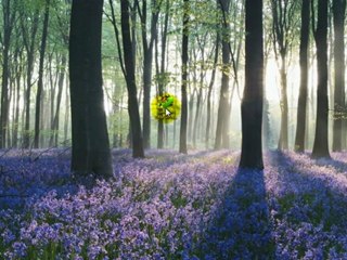 Cinemanow DRM | How to remove DRM from Cinemanow rental movies?