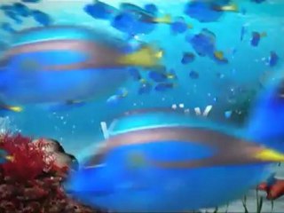 Küçük Hesaplar dizisi 1.bölüm fragmanı izle