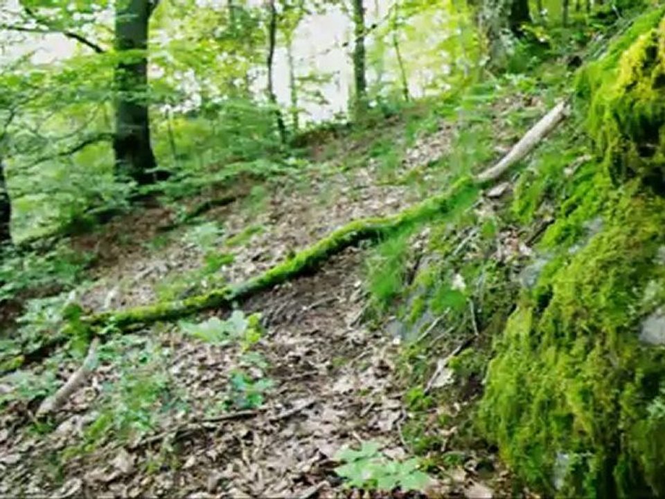 Test pentax k-7 timelaps