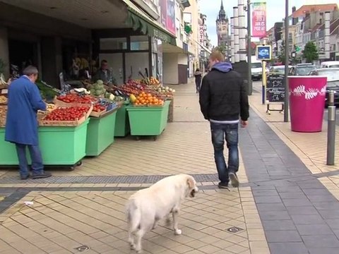 Opal'TV - Le JT - Edition du Mercredi 20 juin 2012