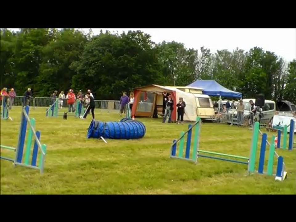 concours Agility St Brieuc Hooki et Anouk