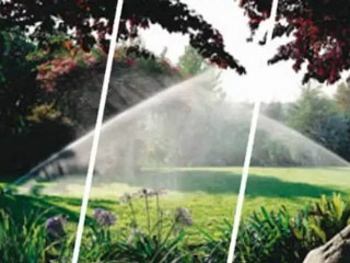 Greenland - (954) 422-2605