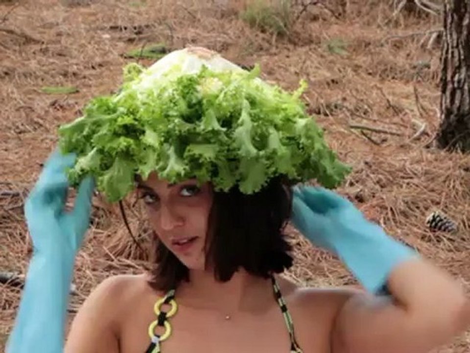 Séquence 1 amusement ocean 2 web - Ordinateur