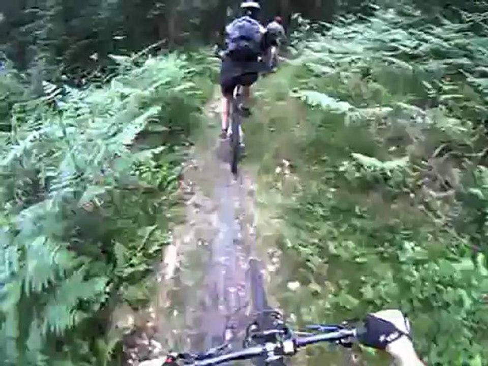 Rando Vosges Haut de Vagney