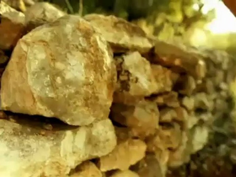 TV3 - Dimarts, 22.30 a TV3 - "Terreny Personal; El Garraf"