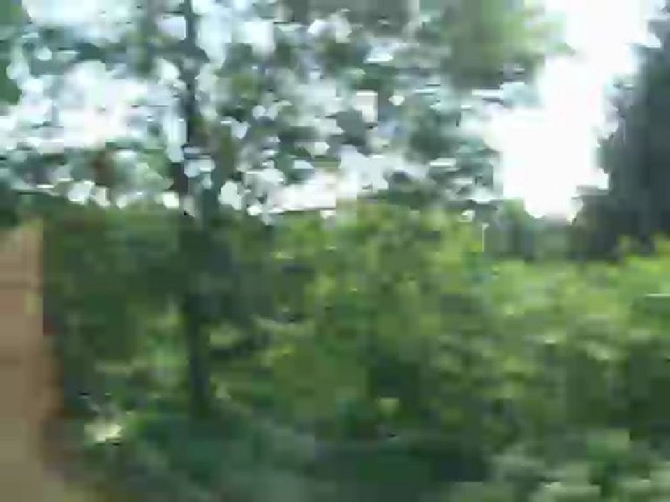 2011_Bahnfahrt in die Heide