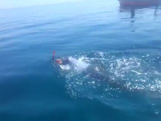 deuxième traversée réussie pour Philippe Croizon et Arnaud Chassery