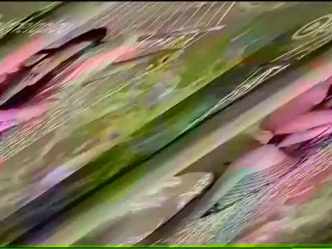 Gergana - Miris na lubov (Official Video) [ gocmenkolik.com]