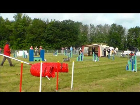 concours Agility St Brieuc Sylvie Arwenn