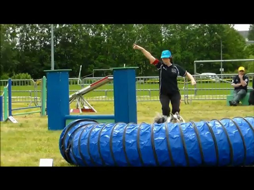 concours Agility St Brieuc Laurence et crunch