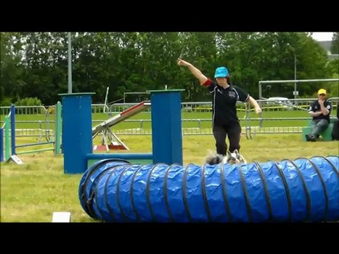 concours Agility St Brieuc Laurence et crunch