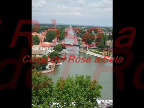 manade, Aigues-Mortes