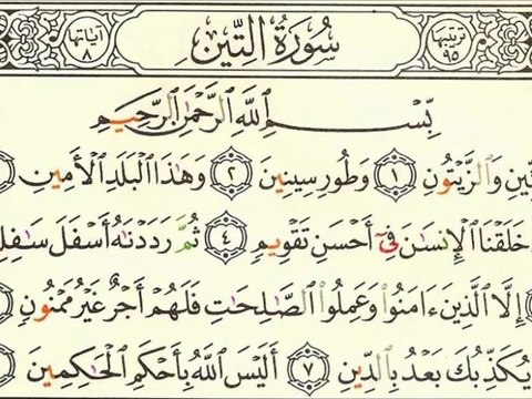 Sourate 095 At-Tin - Sheikh Houdhayfi