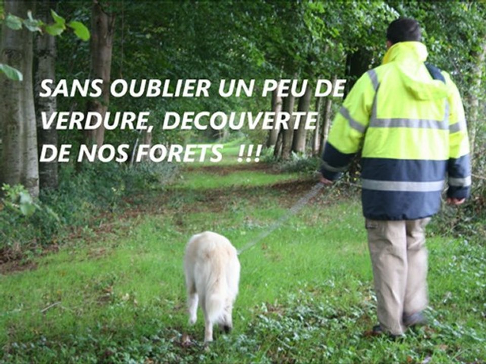 COLONIE VACANCES CHIENS 2