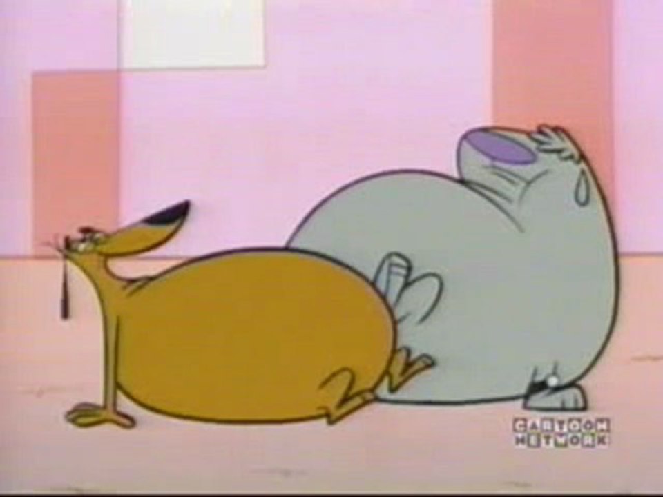 Dogs Weight Gain
