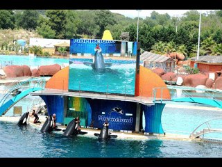 ©MARYNELAND N°1 LES ORQUES PHOTOS&PHOTOS-PEINTURES MARTINE ANCIAUX©TELEVISION