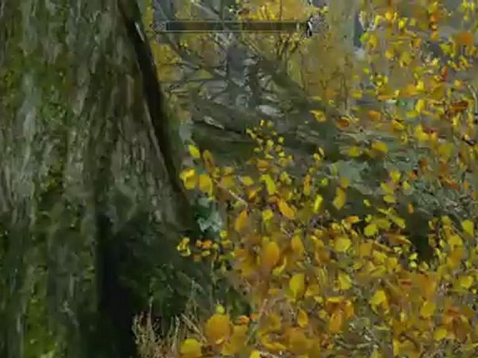 The Elder Scrolls V Skyrim: Dawnguard DLC - Dawnguard Quest Guide