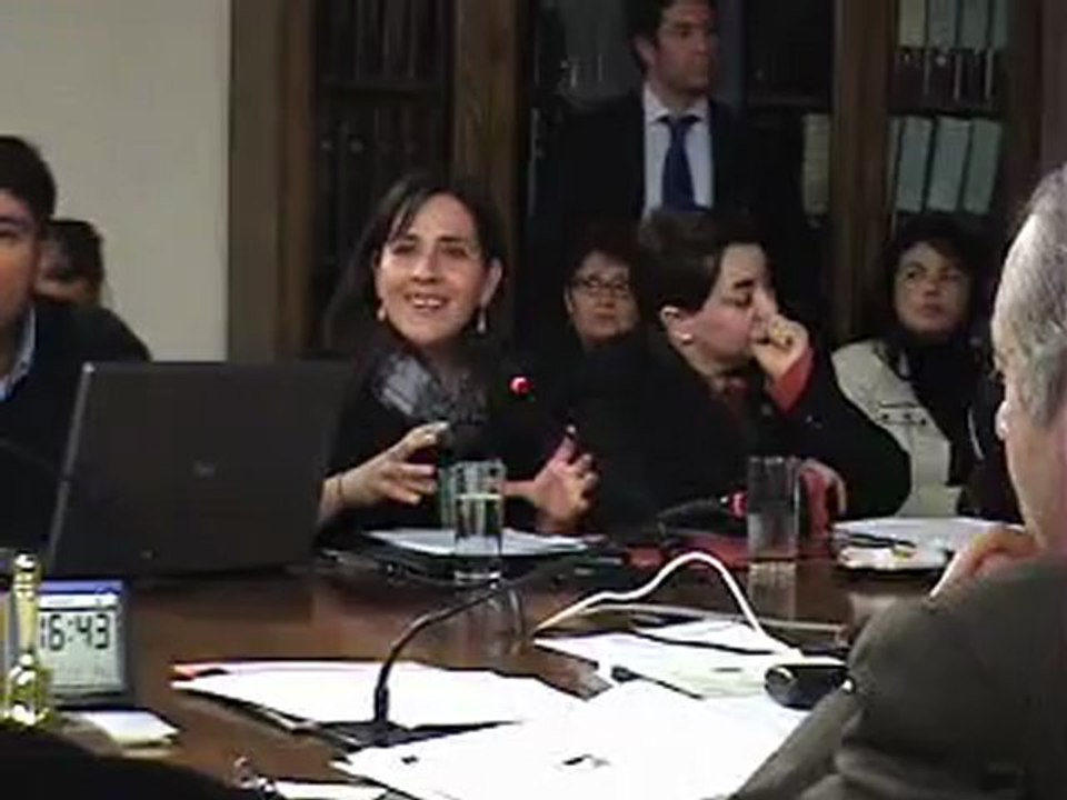 Presentación Natalia Cesped en Congreso.