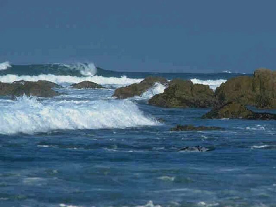 Ocean