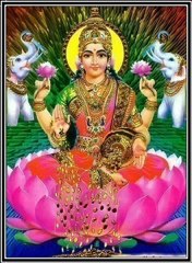 03 SHRI LAKSHMI AMRITWANI