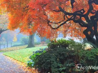 20 Pettygrove Apartments in Portland, OR - ForRent.com