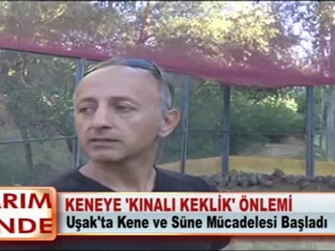 KENEYE ‘KINALI KEKLİK’ ÖNLEMİ
