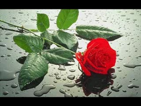 Gülden KARABÖCEK Biz Ayrildik Diyemedim