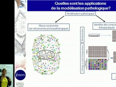 Trouver des médicaments par criblage sur modèles cellulaires
