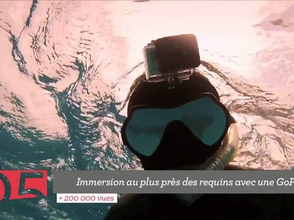 Top 5 : de l'immersion chez les requins aux athlètes olympiques précoces