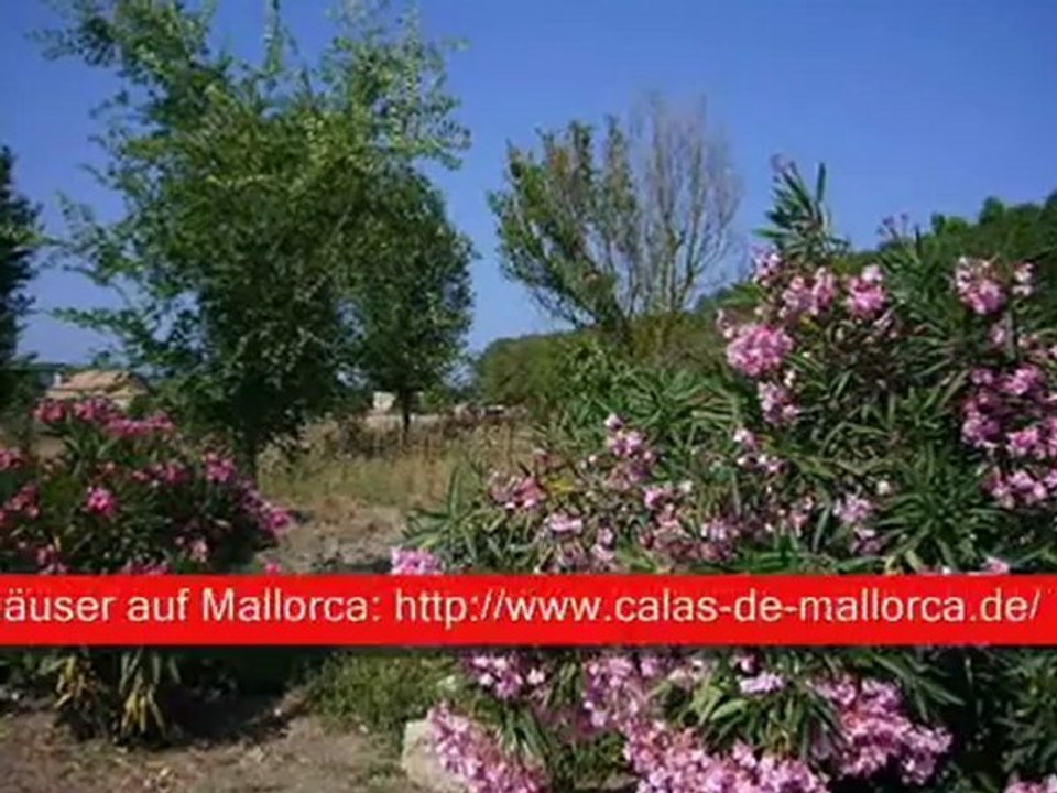 Ferienhaus / Finca Mallorca FMH025