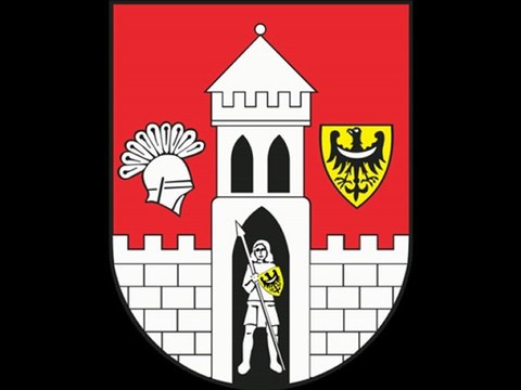 EKRAN LED ŻAGAŃ, ŻAGANNY TEL.782 666 777