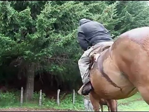 Hiking on the moon - Greenvest