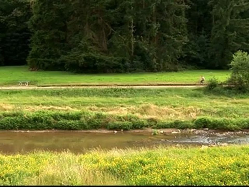 Effacement de barrage sur le Vicoin (Mayenne)