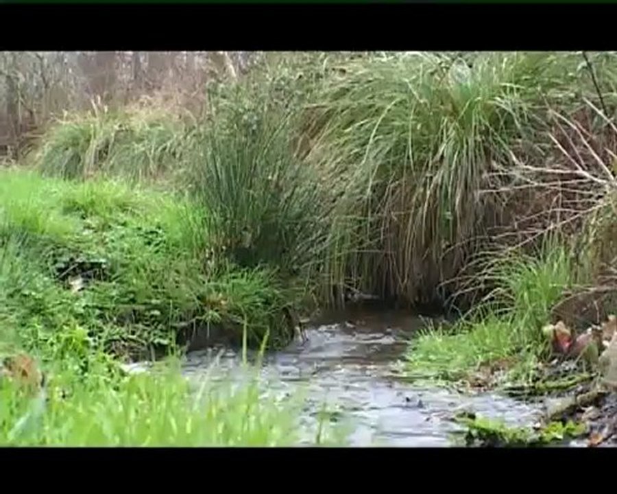 Recensement participatif des cours d'eau - Sage Blavet (Morbihan)
