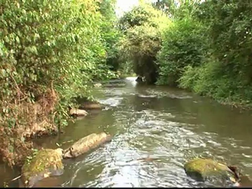 Ouverture de vannes sur la Moine
