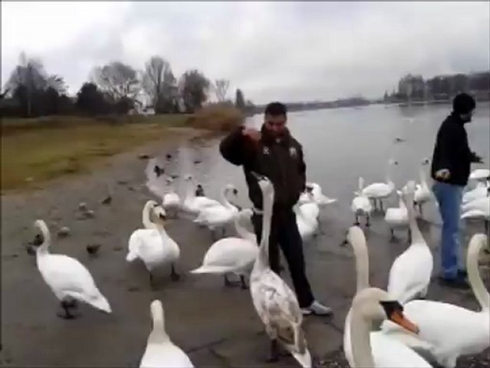 Hamma & Jiji fi la france