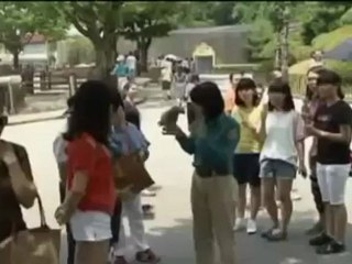 Lala, el famoso loro capaz de imitar más 50 sonidos