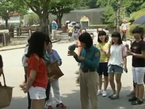 Попугай из Южной Кореи издает более 50 звуков