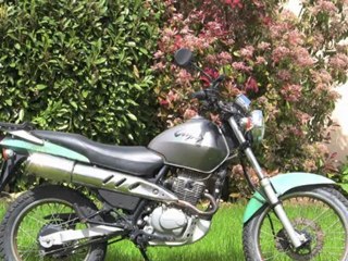 Le Lipdub de 50 ans de mariage