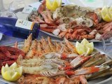 Venta de pescados y mariscos - Madrid - Dagustín