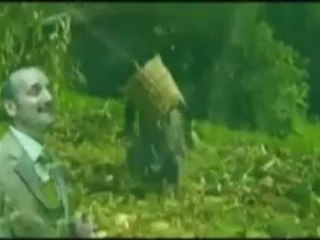 Ahmet Okur - Yalan Dünya